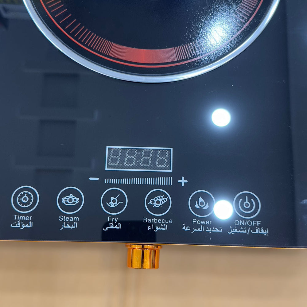 Raf Digital Double Hot Plate R-8088