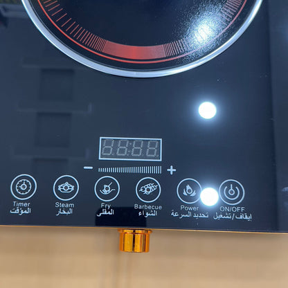 Raf Digital Double Hot Plate R-8088