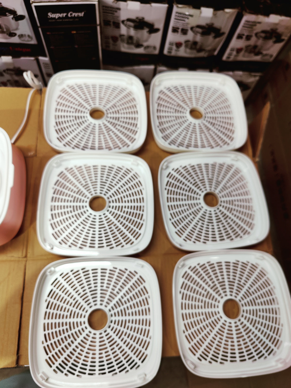 Rex 6 Trays Food Dehydrator