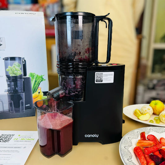 Canoly Cold Press Slow Juicer  JE-75B